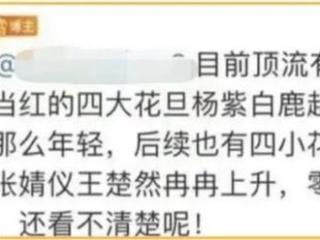 于正讽刺杨紫？