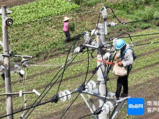 临高因台风“摩羯”损坏的停电台区已全部修复