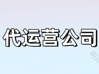 盘点排名前十的拼多多代运营公司，2024年新鲜出炉!