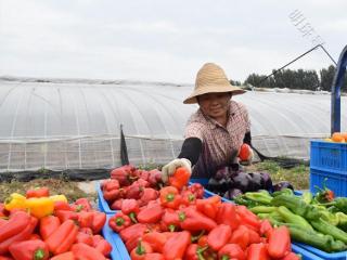 邮储银行三河支行：喜迎农民丰收节，金融活水助发展