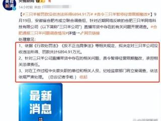 网红三只羊被通报处罚，罚款6800多万引热议，网友直呼罚太轻