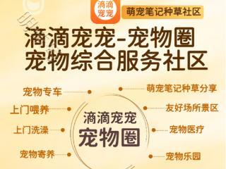 滈滴宠行推出"滳滴宠宠"宠物社区聚焦宠物社交、兴趣爱好宠物家