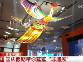 总台记者带你走进中国非遗保护实践主题展