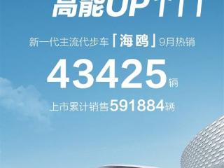 比亚迪海鸥今年累计销量为311667辆，月均4万多