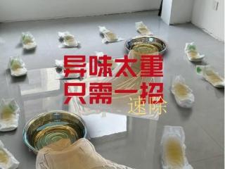 卧室气味太重怎样去味  去房间异味用什么方法最快