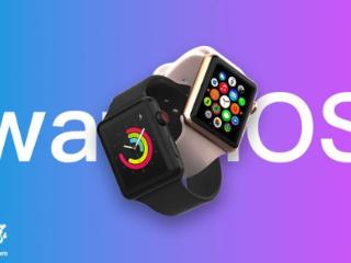 苹果 watchOS 11.0.1 正式发布