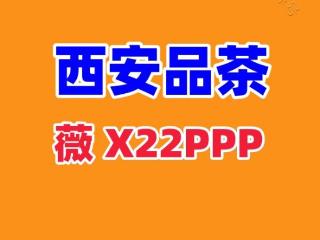 西安品茶工作室茶香四海之以茶会友供聚乐欢颜