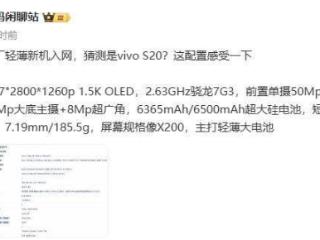 vivo轻薄新机入网：重量185.5克