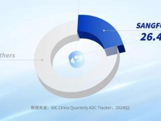 Q2市占率26.4%，深信服AD稳居第一