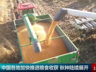 各地加快推进秋收工作夯实粮食丰收基础