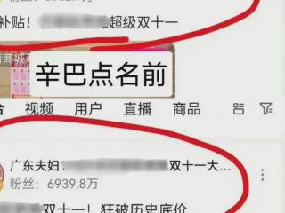 广东夫妇客服回应被辛巴点名