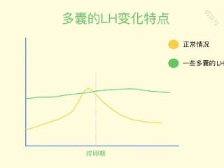 月经不规律的人群怎么找排卵期呢？手把手教会你