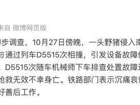 铁路南京南站列车大面积晚点事件初步调查