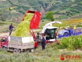 兰州铁路局构建“产业链+消费帮扶”机制助力乡村振兴