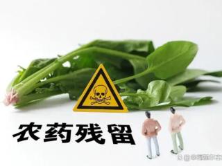 这10种蔬菜农药易残留，吃的时候一定要洗干净啦