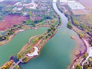 宁阳县洸河湿地公园：深秋的诗篇