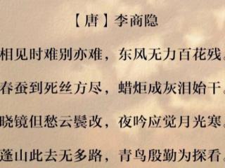 分析“春蚕到死丝方尽蜡炬成灰泪始干”的内涵