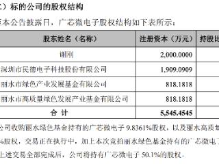 丽水国资拍卖晶圆厂股权 广芯微或成民德电子控股子公司