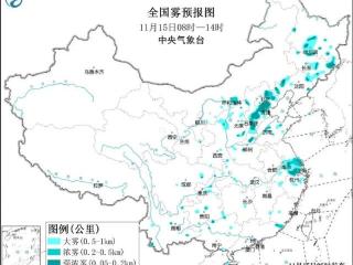 冷空气南下，杭州平均气温跌至“1”字头