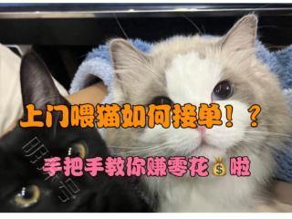 可以接到上门喂猫遛狗兼职工作平台-宠拉达宠物服务平台一应俱全