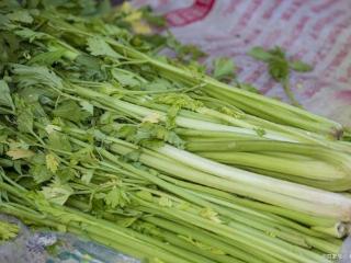 减肥人士可以多吃这几种食物，热量低