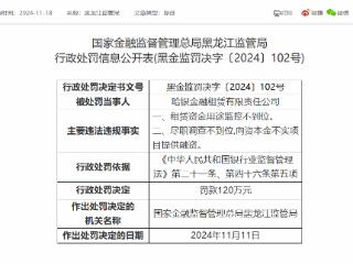 租贷资金监控不到位，哈尔滨银行旗下哈银金租被罚120万元