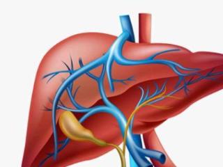 肝脏“讨厌”5个习惯，想要肝脏好，平时多做1个动作或许有帮助