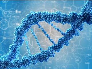 泽辉生物亏损加剧依赖外部研究：实验涉及伦理难题，还存对赌协议