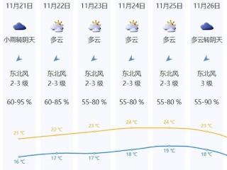 冷空气多次造访深圳体感阴凉