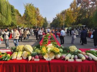 河南农业大学第十届校园园艺文化节精彩回放