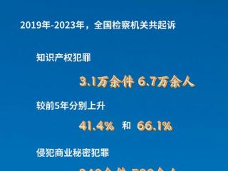 全国检察机关依法加大对侵犯知识产权犯罪惩处力度