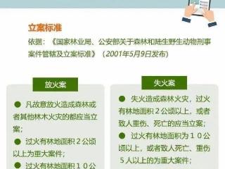 云南大牯牛山发生火灾12名游客被行政处罚