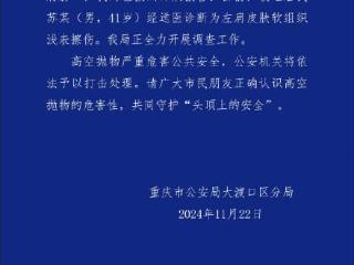 重庆大渡口一小区高空坠落菜刀砸到居民肩膀重庆警方证实