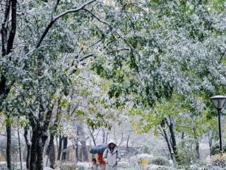 雨雪天气即将来临，沈阳局地有大到暴雪！