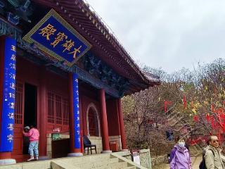 泰山玉泉寺之旅：一场意外的“活动”