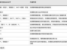 NMN排名那个牌子最好，性价比最高的十大品牌排行榜！