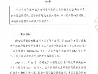 历史股权财务顾问业务未勤勉尽责，渤海证券被罚没226万元