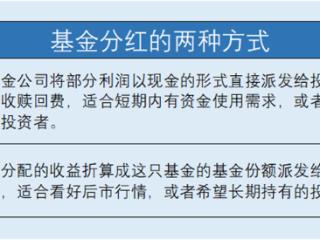 红利再投如何为复利增长提供“燃料”？