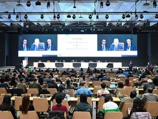 COP29精彩回顾丨阿拉善SEE向全球伙伴分享中国经验