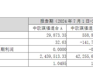 迷你基练手？中欧基金“新人”李泽南接任中欧琪福混合基金