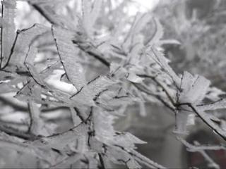 江西大风降温阴雨湿冷庐山风景区雨夹雪