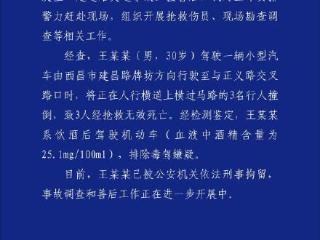 凉山一男子酒后驾驶机动车撞倒3人被刑事拘留