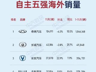 11月自主五强海外战报：国内“厮杀”海外“扬威”，谁最亮眼？