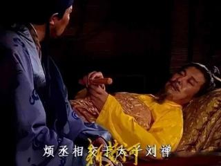 刘备将死之时，叮嘱诸葛亮：子龙不可重用，这是为何？