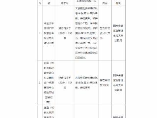 因未按规定使用经备案的保险费率等，太平洋财产保险被罚24万元