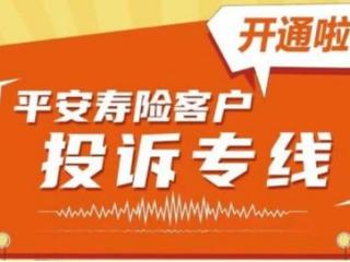 在中国式现代化浪潮下，平安保险投诉如何守护保险未来？