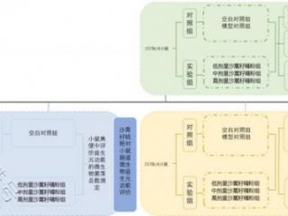 治沙功臣—沙蒿在健康食品领域再次展现其独特魅力