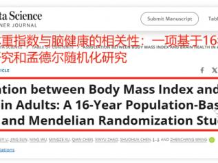 肥胖可能危害大脑健康！长轻营养食疗提醒您是时候该减肥了