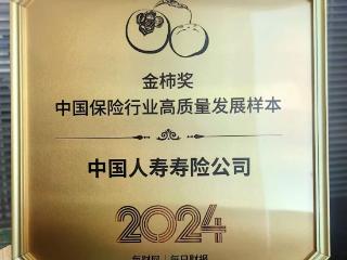 “头雁”领航，中国人寿荣获“2024金柿奖*中国保险行业高质