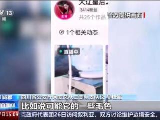 女子打造保护大熊猫人设敛财18万